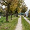 Donaulauf 2025-Kindermarathon 2