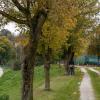 Donaulauf 2025-Kindermarathon 2