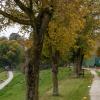 Donaulauf 2025-Kindermarathon 2