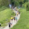 Wings for Life Run 2025